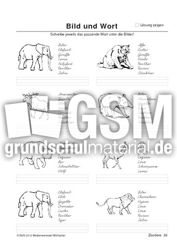 BuW Zootiere36.pdf